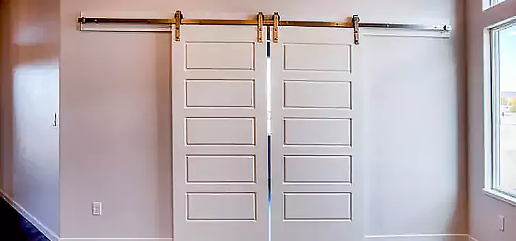 Glass Barn Door with Installation Hardware Kit Wethersfield