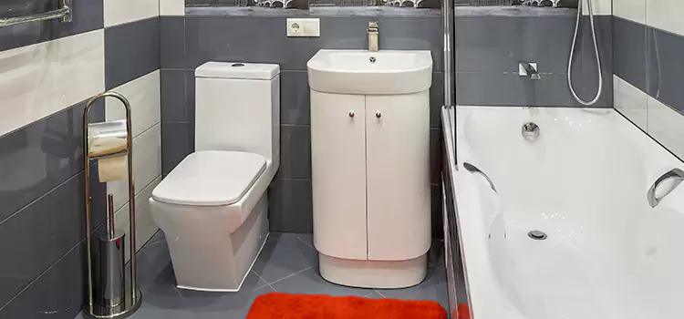 Hansgrohe Shaving Mirror Wethersfield