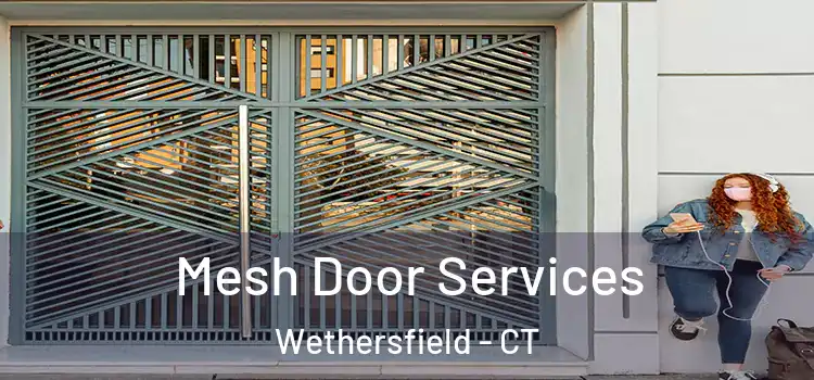 Mesh Door Services Wethersfield - CT