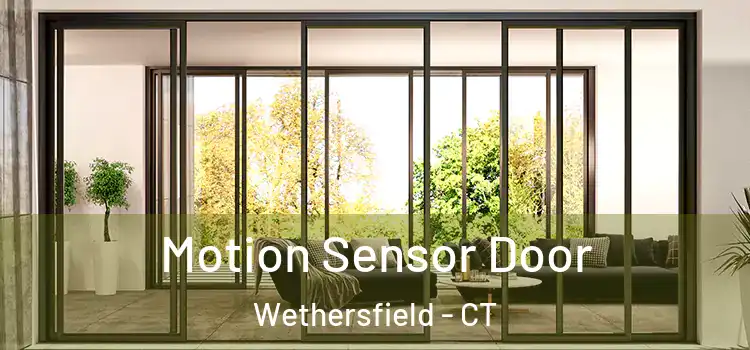Motion Sensor Door Wethersfield - CT